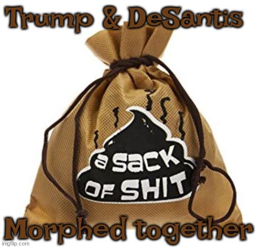 stantherunner's tweet photo. @gregsteube Doesn't matter at all. #TraitorTrump and #RonDeFascist are the same sack of ๐ฉ and neither has a chance to win in 2024. #AmericaIsNotFlorida
#AmericaIsNotMAGA https://t.co/kxf0nemcOj