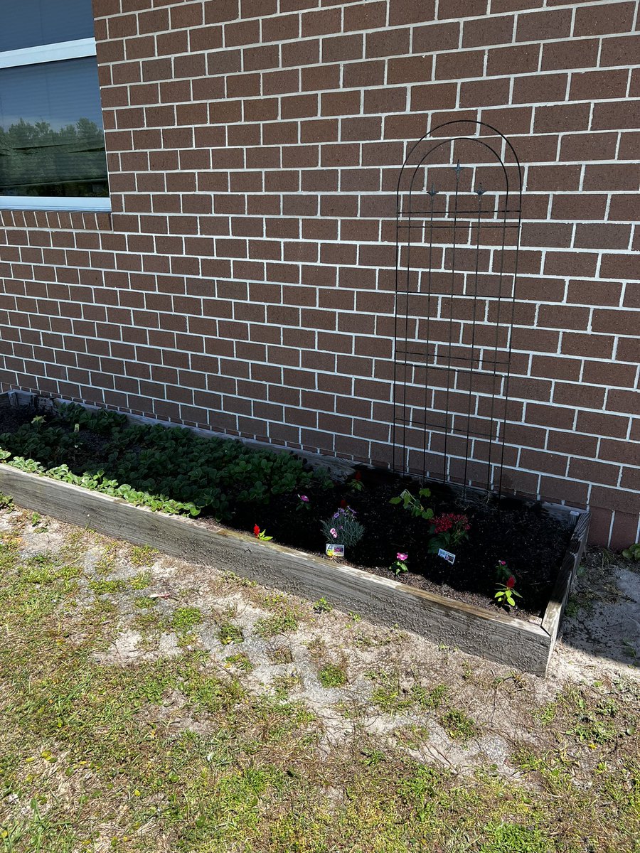 Happy 🌎 day! <a href="/MCPSsandcastle/">MCPS</a>