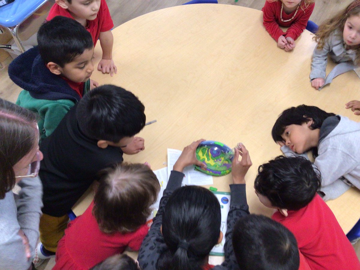 RBBPrekHackett's tweet photo. Ladybug Larvae have arrived! We can’t wait to watch them grow. @RedBankPreK https://t.co/CmLIaQkQPW