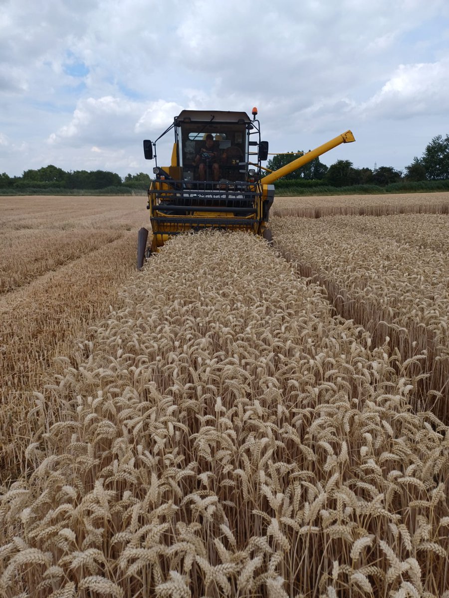 LizzieSagoo's tweet photo. We are looking for Field Research Scientists to join our team at Rosemaund nr Hereford @ADASGroup @ADASRosemaund This is a great opportunity for anyone wanting to gain R&amp;D experience in agriculture - particularly crop pathology &amp; physiology. Pls RT Details https://t.co/DNrwBV5Ce2 https://t.co/o3K48xMGaB
