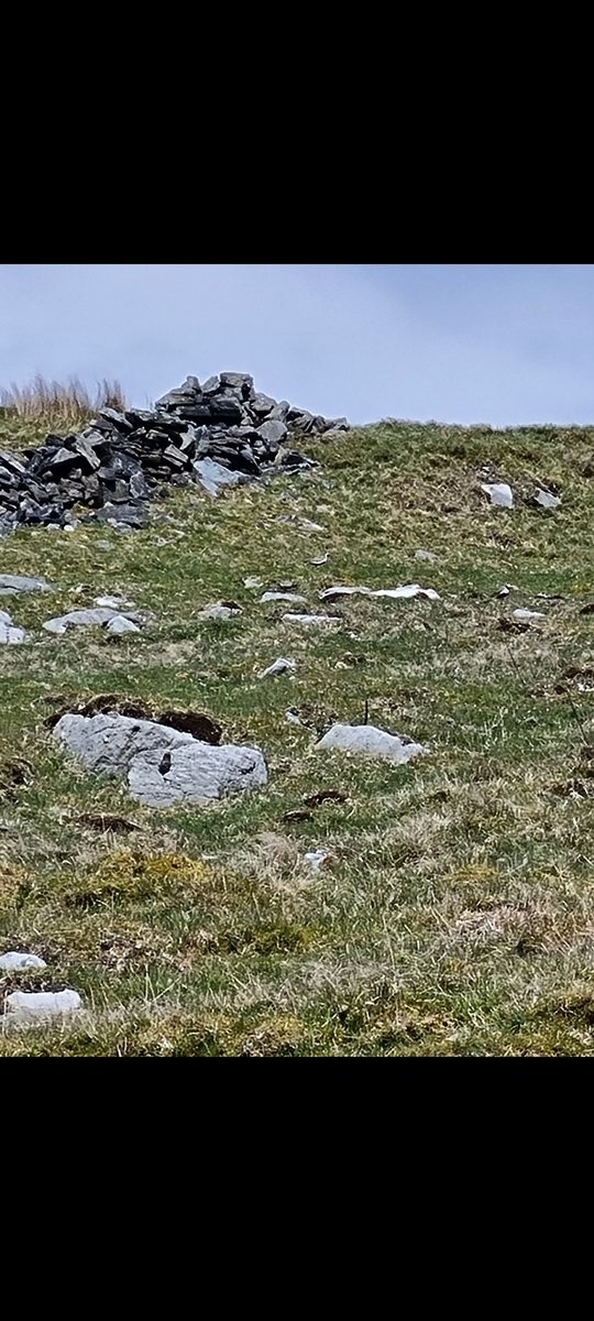 A mixed day of prevention and response today 🚓🚒🚑

*Discussed road safety concerns with 1 local 🏍

*Visited another who was indeed of crime prevention and reassurance

*Then finished the day with a <a href="/YASCFR/">YAS CFRs</a> call out

Topped off with some #Goldenplover on Grassington Moor 🔭👍