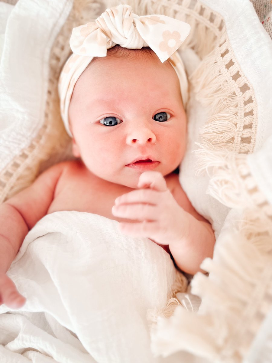 Chelsea McCleary tweet media