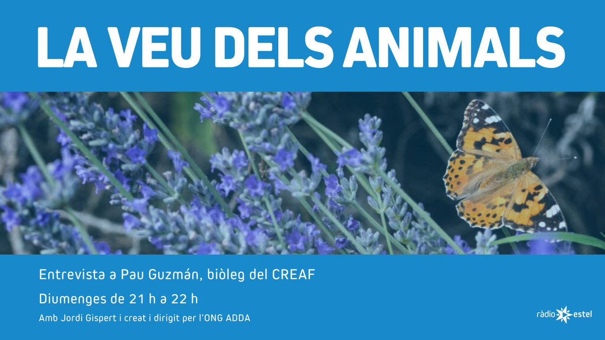 🦋 LA VEU DELS ANIMALS | Avui, amb <a href="/pau_guz_man/">Pau Guzmán</a>, biòleg ambiental del <a href="/CREAF_ecologia/">CREAF</a>, per parlar sobre l'Observatori Metropolità de Papallones. 

🕘 A partir de les 21 h! ⬇️
📡 radioestel.cat/en-directe/