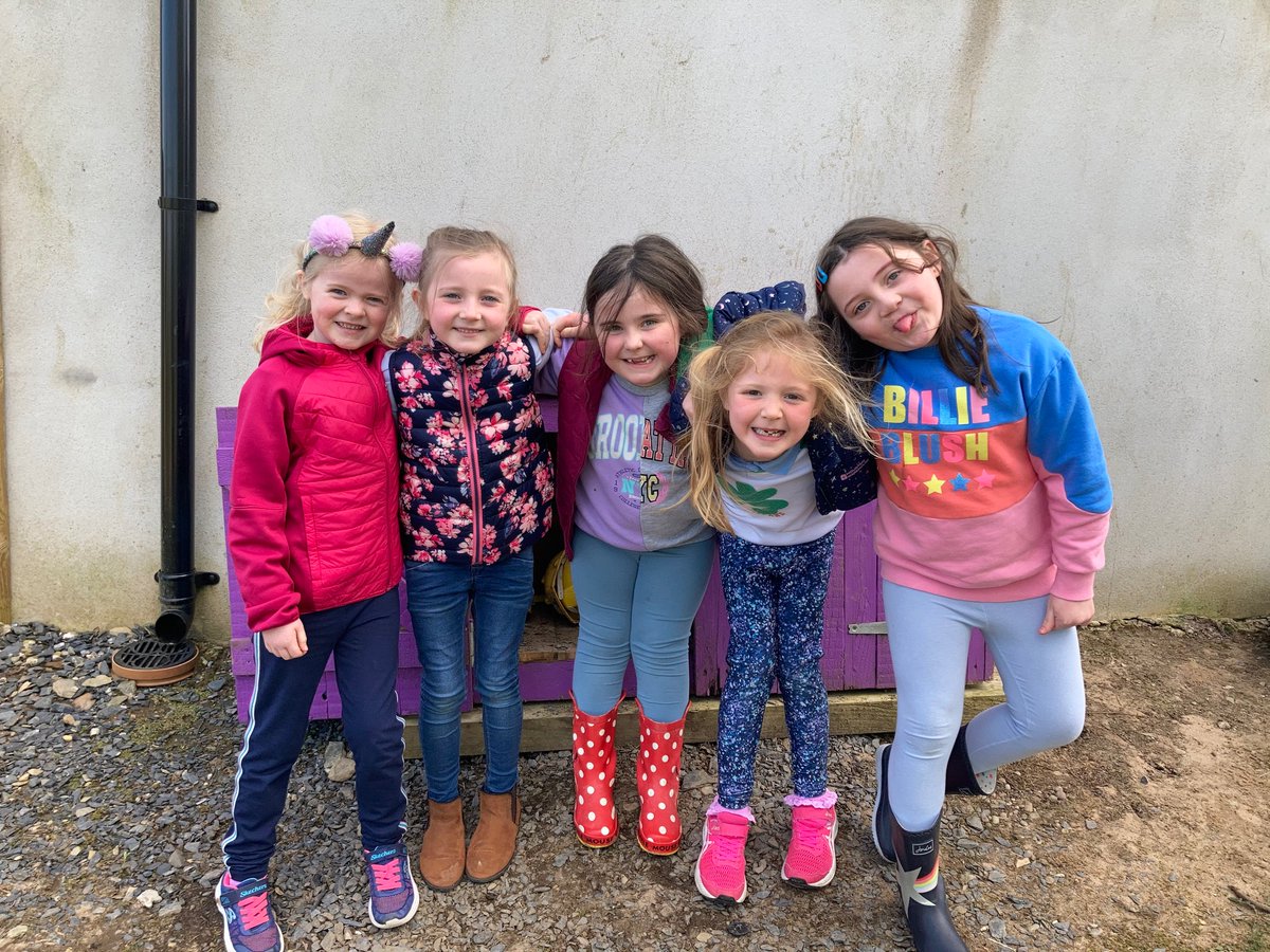 Faughart Community National School tweet media
