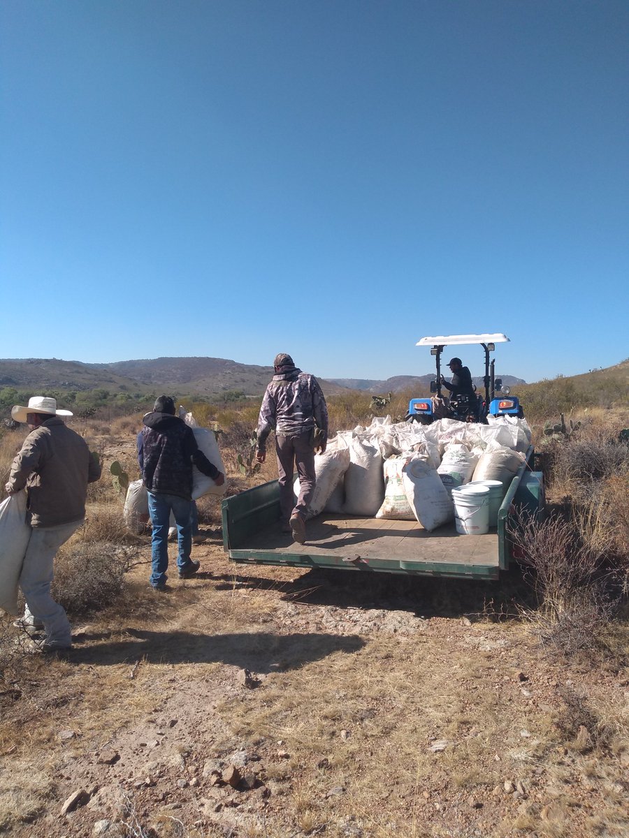 balimondl's tweet photo. Acciones de mantenimiento  a la reforestación... https://t.co/xcZ44F62UG