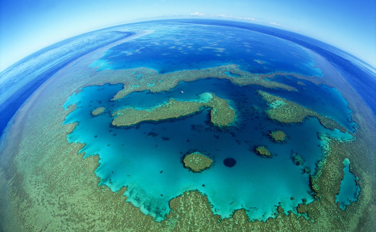 WWFLeadOceans's tweet photo. Happy #EarthDay!
#DYK that over 70% of our planet isn't earth, but #ocean? 
Thank you to all those working tirelessly to protect and restore ocean health. 💙
Learn more about our work here: https://t.co/df9mqA9NfA https://t.co/b9dvQjgpUr