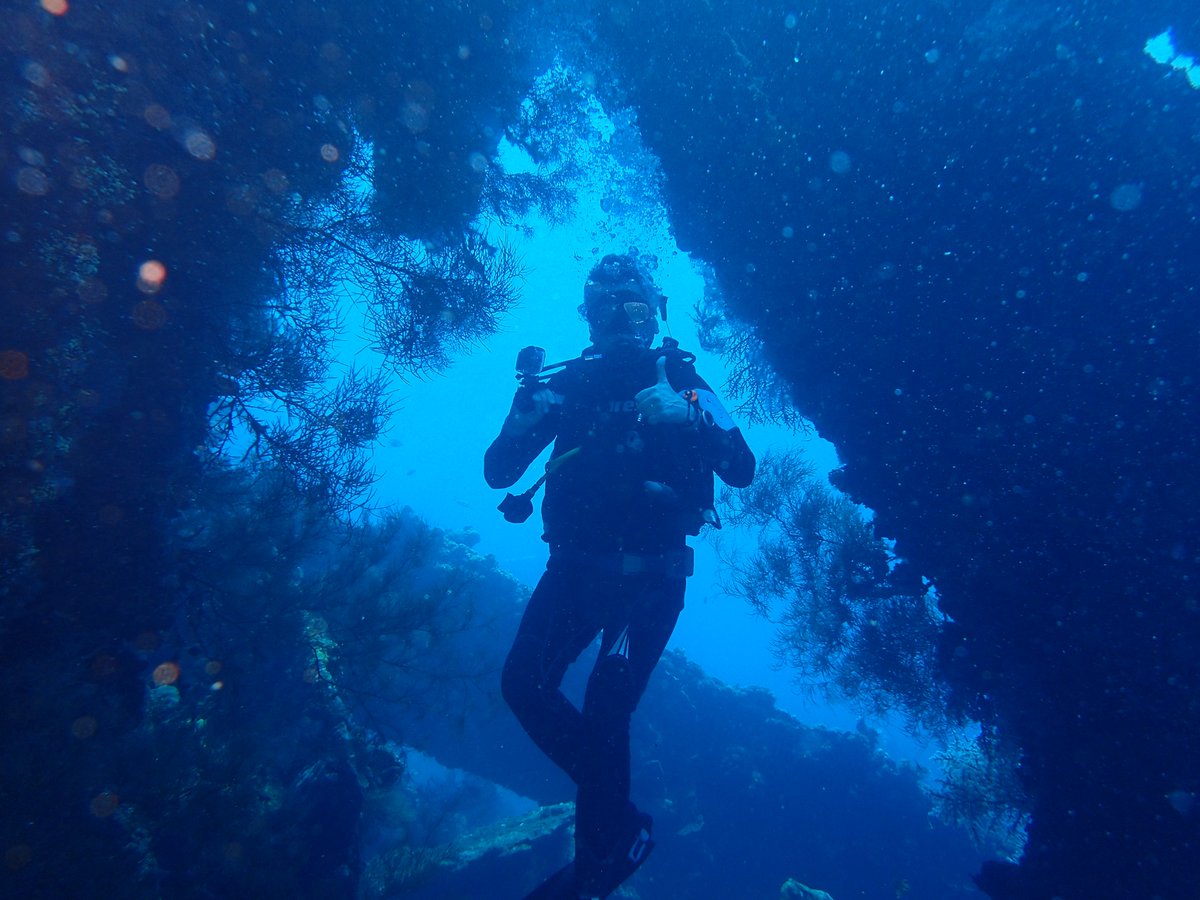 enadive's tweet photo. Come enjoy the under water world with us https://t.co/HnQv5WaDgS #scuba #scubadiver #scubadive #diver #openwaterdiver #PADIdivers https://t.co/rwhigzPTdO