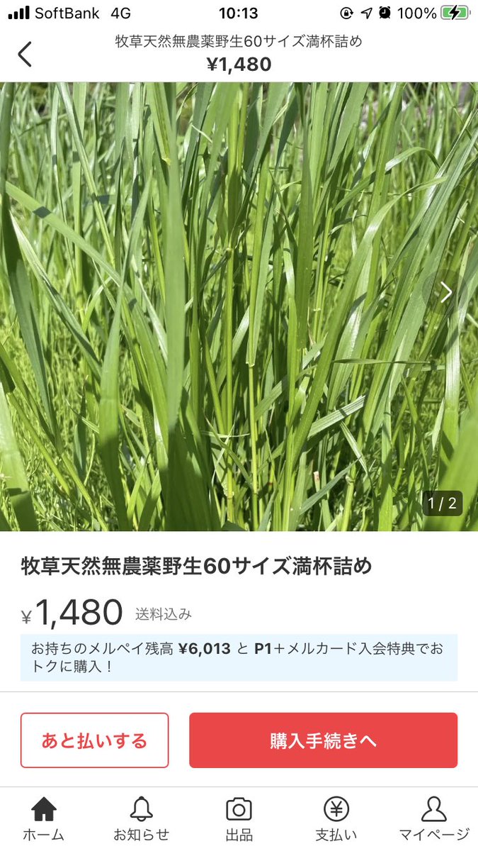 misaki110S's tweet photo. メルカリに牧草出品してて草
誰も買わないと思います
農家すら買わない https://t.co/WCETYjhZZd