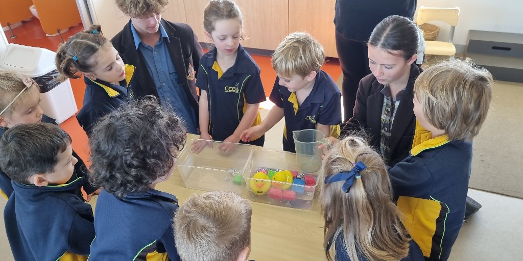 In Term 1, our Year 9 students spent time learning about all things sustainability, then put on their superhero capes and shared their knowledge with our CEEdlings! 🌱 A chance for our CEEd and Middle School students to learn together.