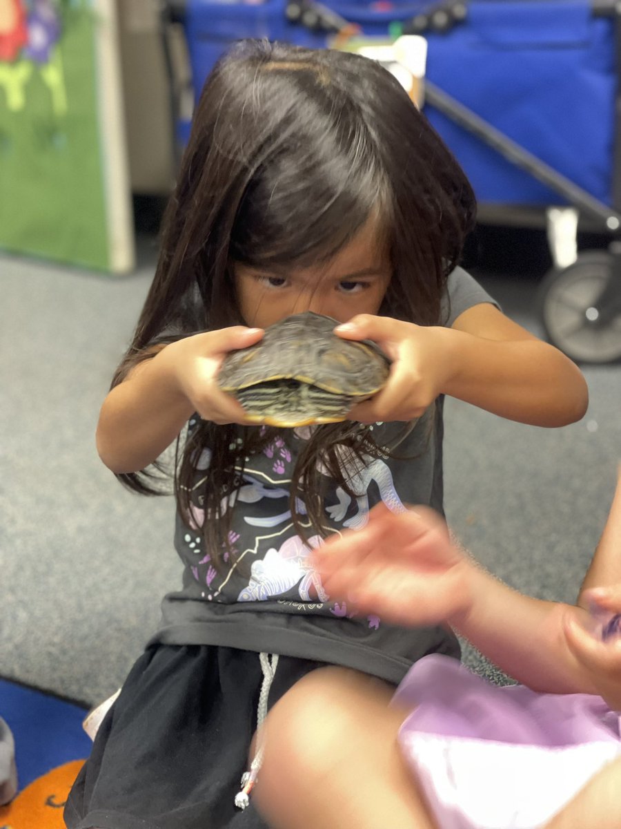 We have had lots of observing & memorable experiences in pre-k the last few weeks. We cared for Jerry the snail who laid eggs, watched caterpillars grow & change, planted seeds that sprouted, and had show and tell with Ms. Kelley’s turtles! 🐌🐛🦋🌱🪴🐢 #lifescience