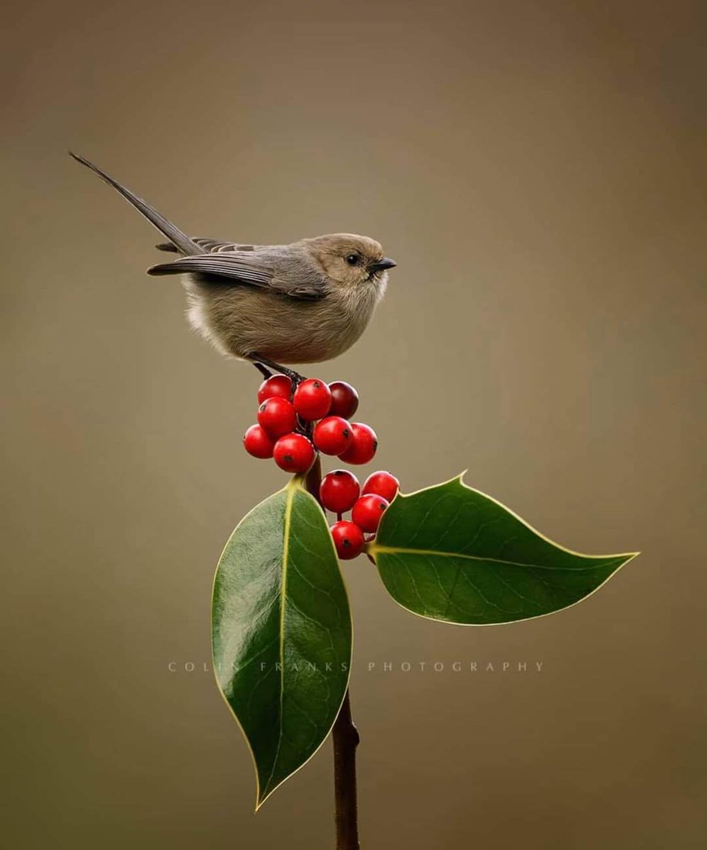 اجعل معاملتك لطيفة مع الجميع ، واجعل حُبك عزيزًا لا يناله إلا عزيز ❤️
#EidMubarak