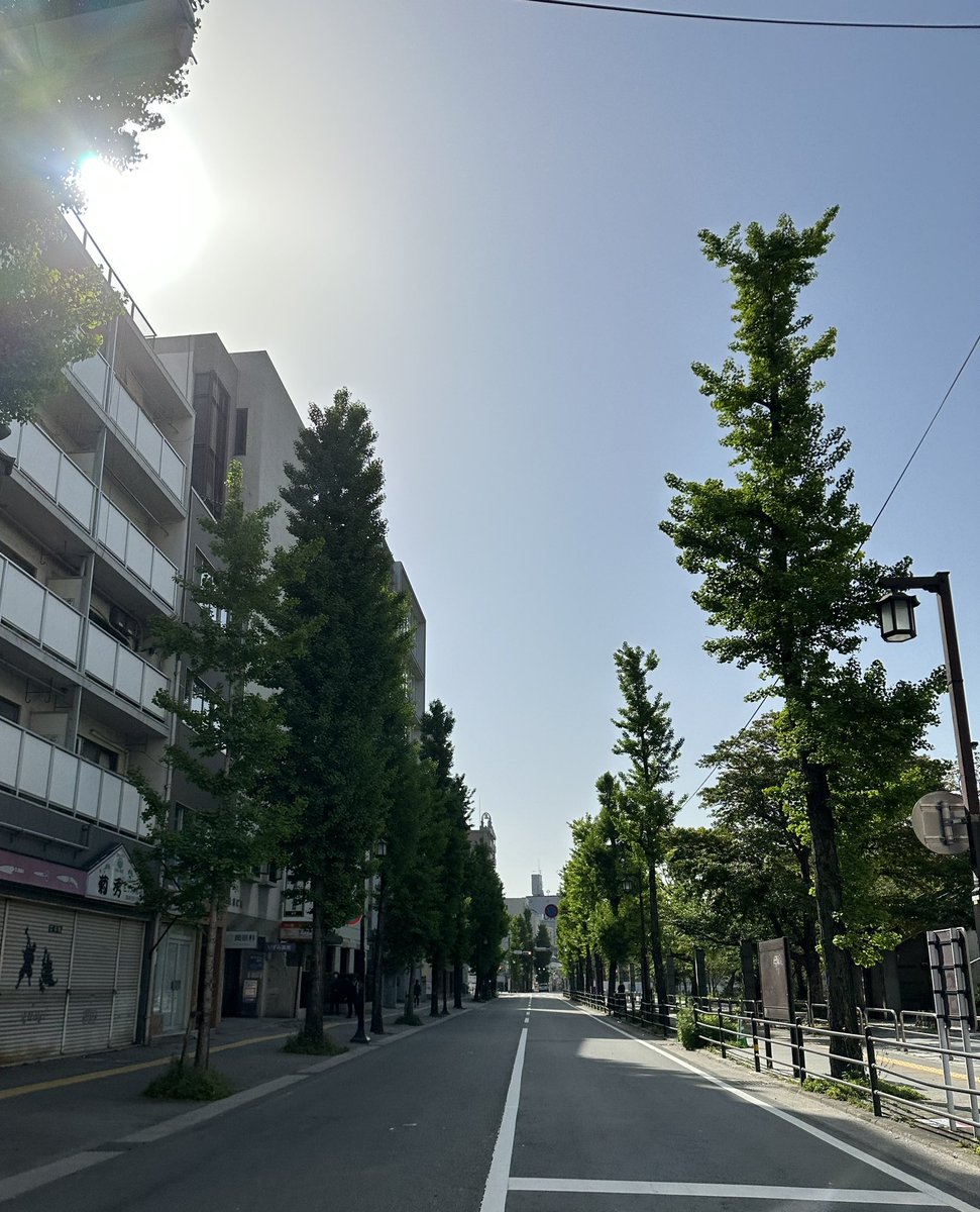 keiko96969's tweet photo. 今週は、なんかいろんなことがあって、落ち込んだ😔 
今日は快晴✨✨歩いてたら😽いた。元気だそう😊

#WeBase HAKATA https://t.co/FqxX4ZcgIE