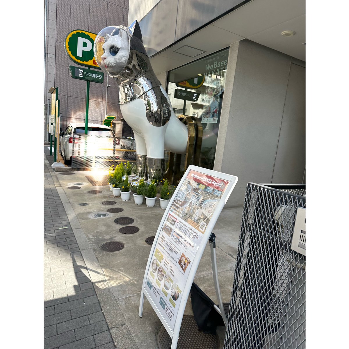 keiko96969's tweet photo. 今週は、なんかいろんなことがあって、落ち込んだ😔 
今日は快晴✨✨歩いてたら😽いた。元気だそう😊

#WeBase HAKATA https://t.co/FqxX4ZcgIE