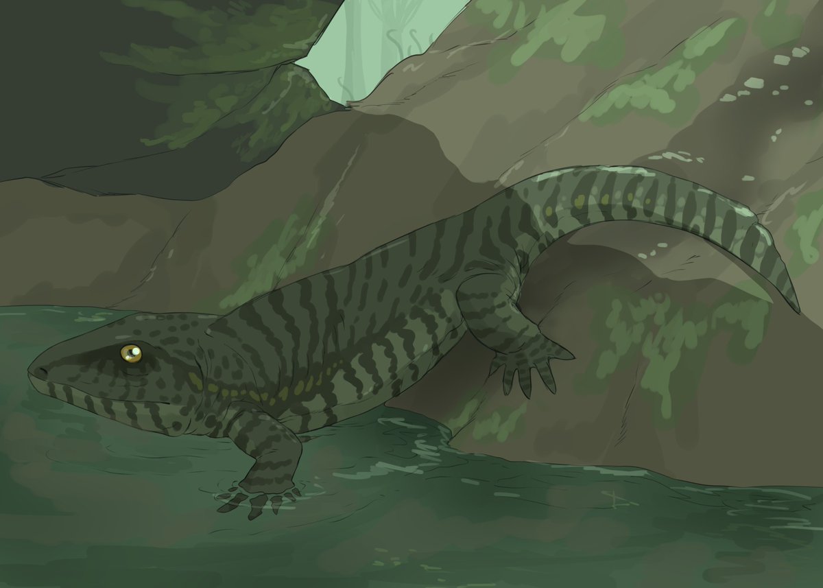 Yet nother #paleostream; happy to be back in action. Gigatitan, Mahajangasuchus, Corythoraptor & Pederpes.