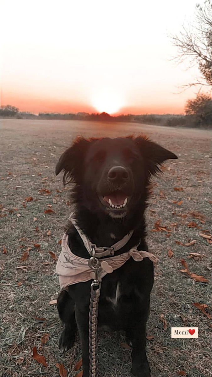 wannievas's tweet photo. @EmmaZunz_ Melba/Melba https://t.co/Cq17B4bWz6