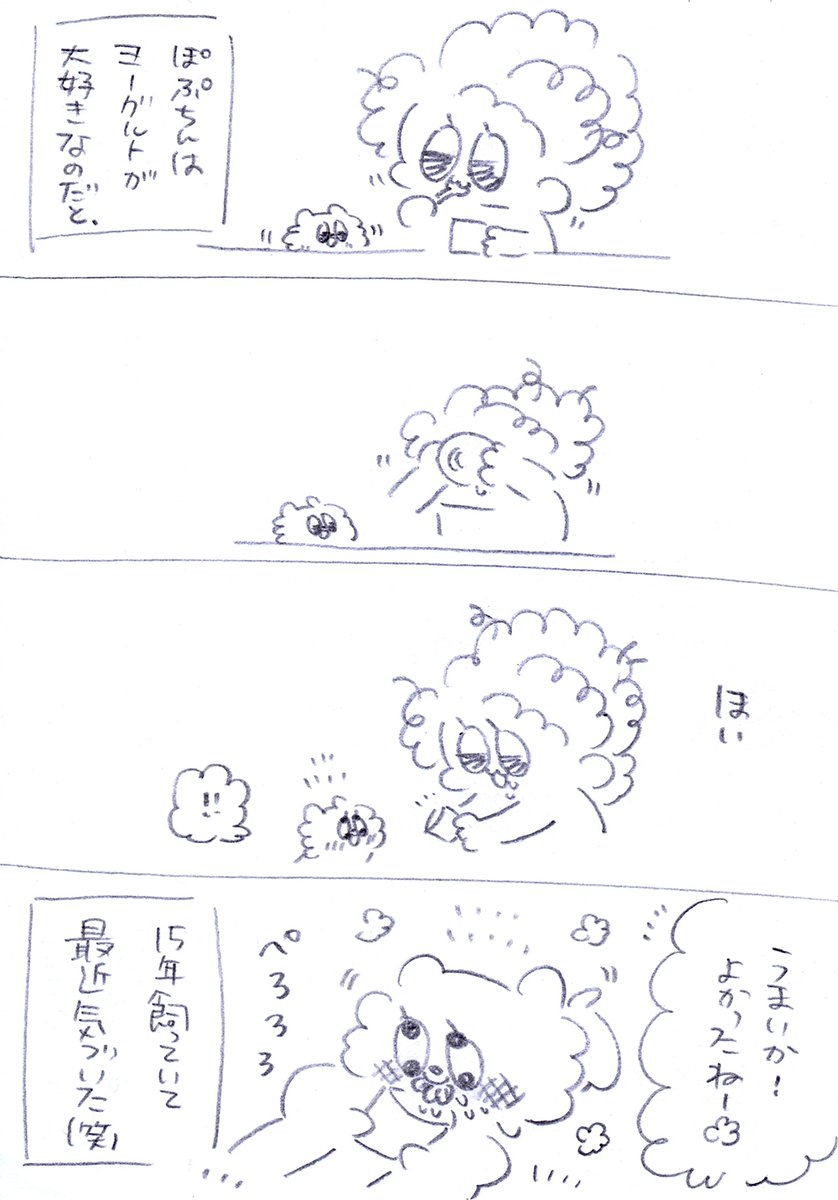 ヨーグルト食べる?😋
#うちのおばあワン #犬のいる生活 