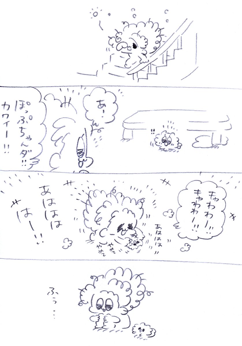ヨーグルト食べる?😋
#うちのおばあワン #犬のいる生活 