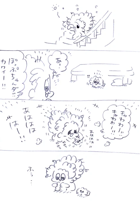 ヨーグルト食べる?😋
#うちのおばあワン #犬のいる生活 