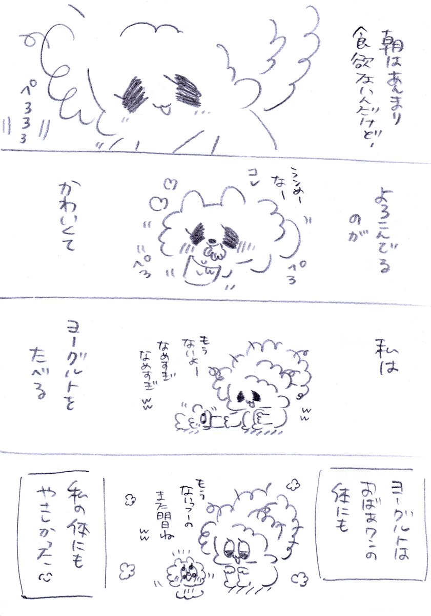 ヨーグルト食べる?😋
#うちのおばあワン #犬のいる生活 