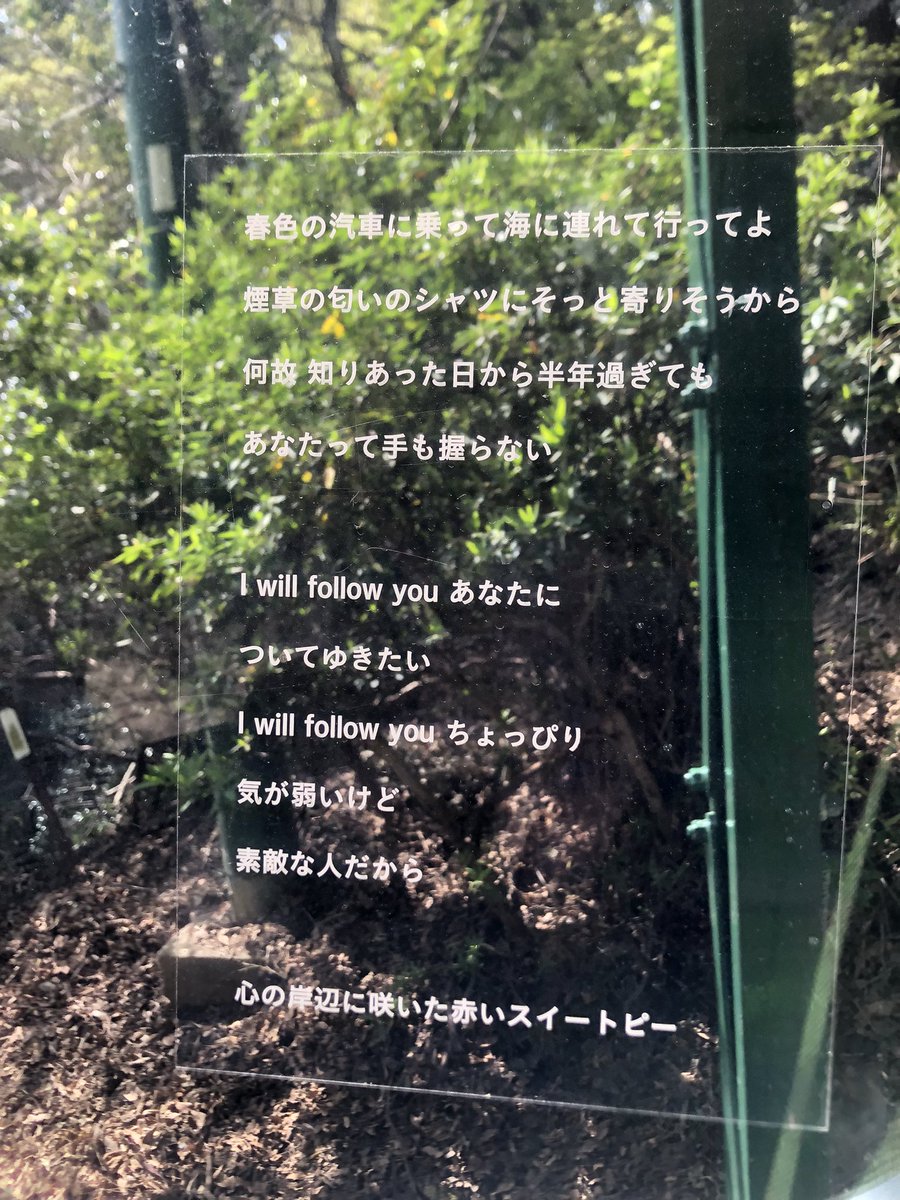 ws55643468's tweet image. ＃摩耶ケーブル