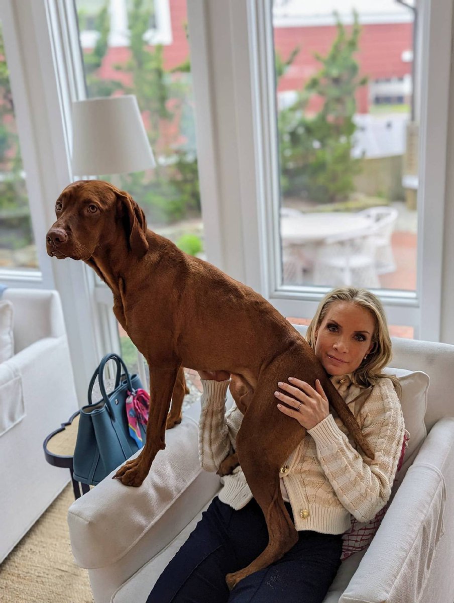 Dana Perino on Twitter "Percy’s in charge"
