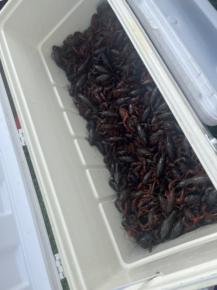 SJH SaberCats tweet media