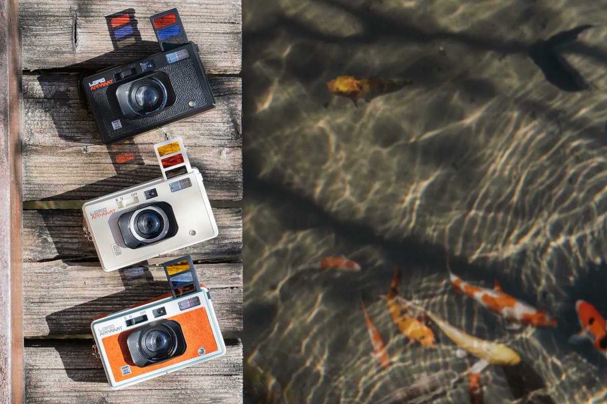 Lomography tweet media