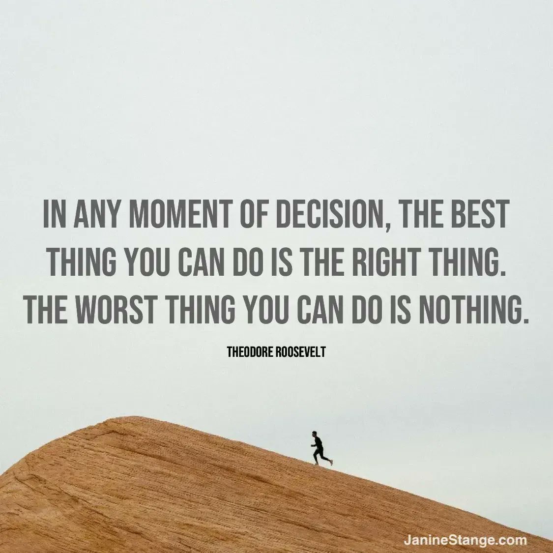 THEANTHEMGIRL's tweet photo. In any moment of decision, the best thing you can do is the right thing, the worst thing you can do is nothing. - Theodore Roosevelt https://t.co/P59RYzUan2