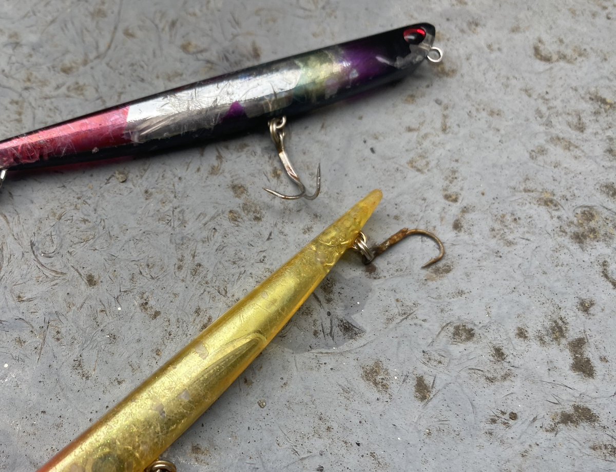 FishingLabo's tweet photo. 昨日も京浜クルクルバチ抜けシーバス結果‼️

10ヒット以上の６ゲット。

最大75cmのパワーファイターでしたね。

全部マニック95で釣れましたが、フックがネジれて直ぐにダメに👎

強化フックに交換してまた挑みます🤗

#東京湾奥シーバス
#バチ抜け https://t.co/3eTZQeuCs0
