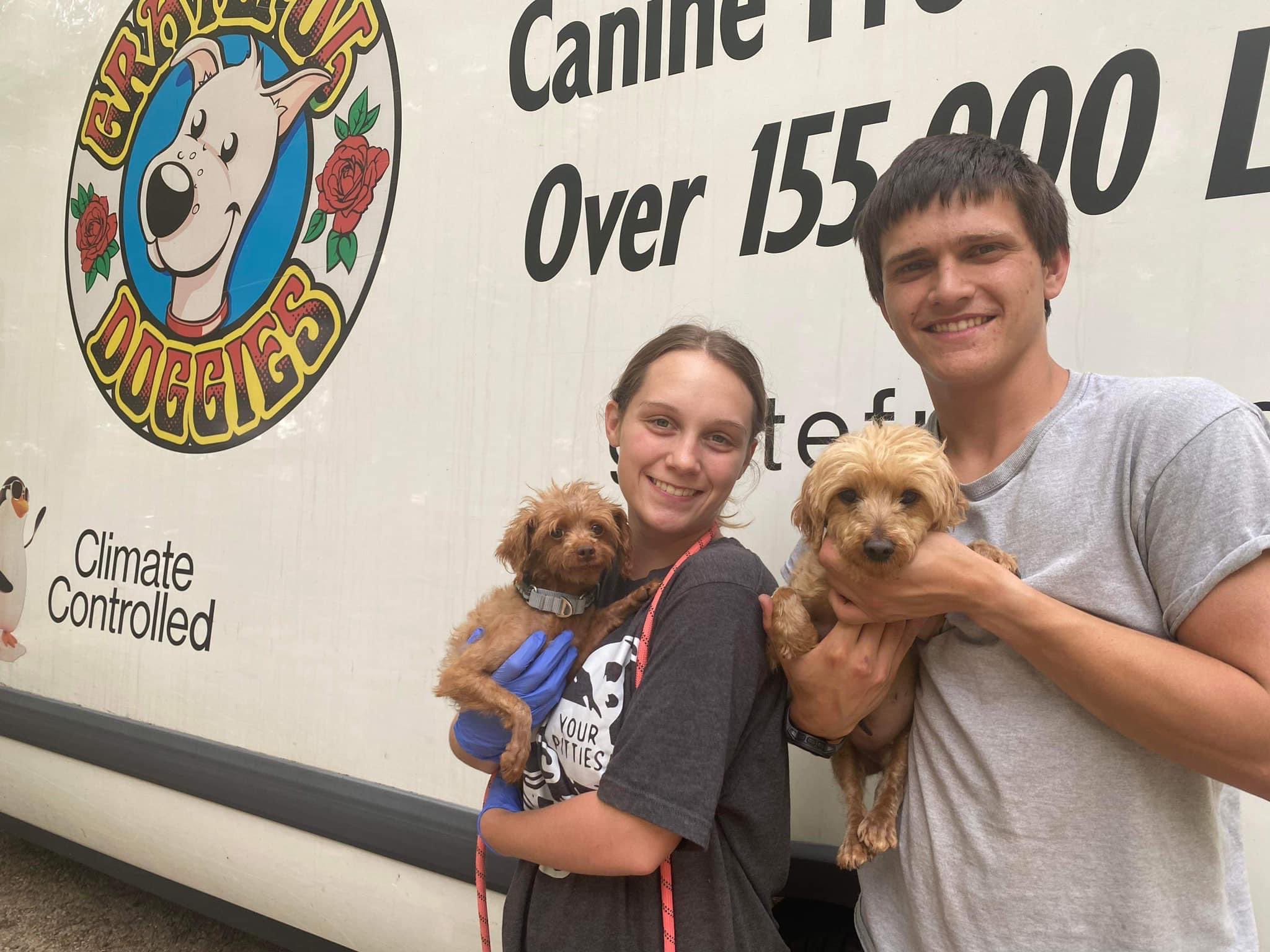 Hounds in Pounds (HoundsInPounds) / Twitter