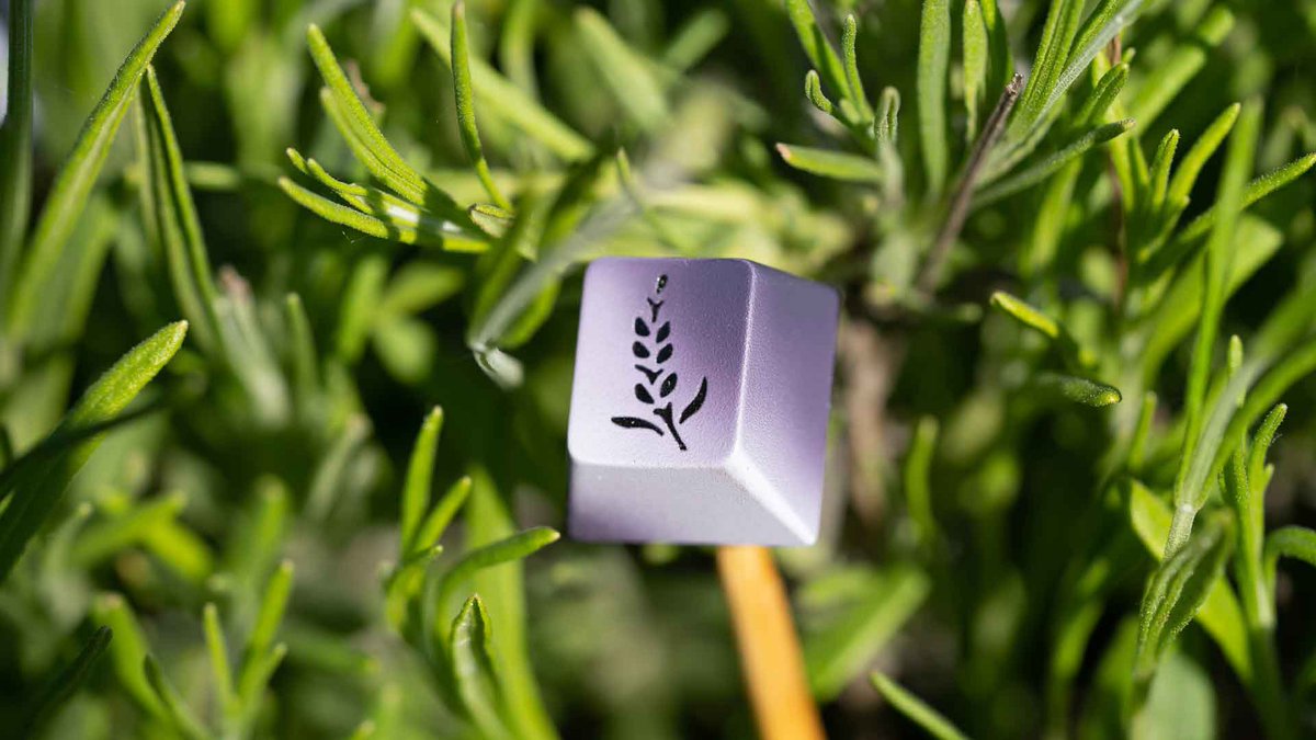 Space_Cables's tweet photo. If you’ve been holding out for a purple set, spring is the perfect time to grab Lavender!

In-stock now with a bonus early bird special for $5 off of either base kit for a short while.

https://t.co/cQhHEyVOfm https://t.co/wnRbHe7h5U