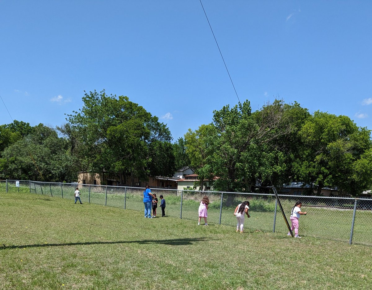 SuperLearners1s's tweet photo. Earth Day 2nd Grade Project we made seed shakers and spread some wild flower seeds. First, we read about Lady Bird Johnson's Beautification Project.  https://t.co/FSnUYweFQn https://t.co/5v3XunpySd