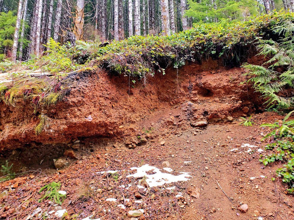 911MININGCO's tweet photo. Just one area of a two kilometer wide mineralized zone at the Loup Creek Property.
#gossan #mining #breccia #volcanics #rocks #bonanzavolcanics #minerals #pyrite #gold #copper #mineralization #kermode #klm #911mining #911explorationcorp https://t.co/wQTvzviJA4