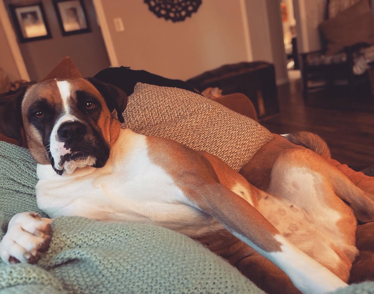 Jenny Don’t 🌻🩺 tweet media