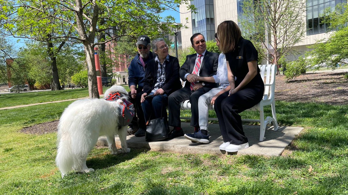 Mizzou's tweet photo. A large crowd gathered in Peace Park this afternoon to dedicate a white bench in memory of Harlan, the beloved Great Pyrenees. 

President Choi attended the dedication and thanked Harlan’s owners for sharing him with the #Mizzou community. 🖤💛

Read: https://t.co/VfKCW0SwKn https://t.co/lJ2aIH1Pb1