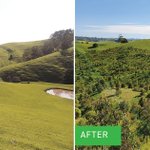 Photo by Greenfleet (@GreenfleetAust)