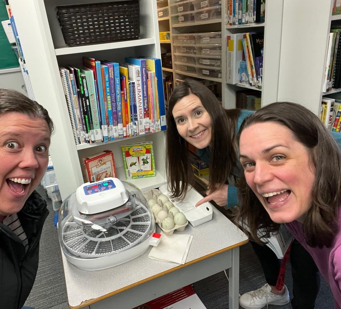 We are just a little excited for duck season 😆
.
You may remember from last year that we hatched many chickens, and one very special duck named Penny💛🌷
.
.
.
#spring2023 #duckhatching #runnerducks #homeschool #provincialonlineschool #deltabccanada #teacherlife