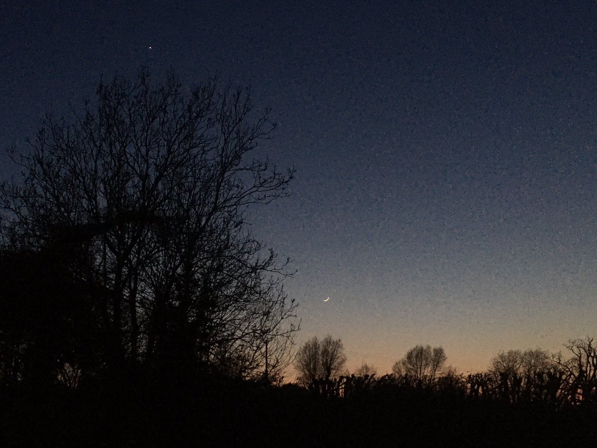 Nicola Chester tweet media