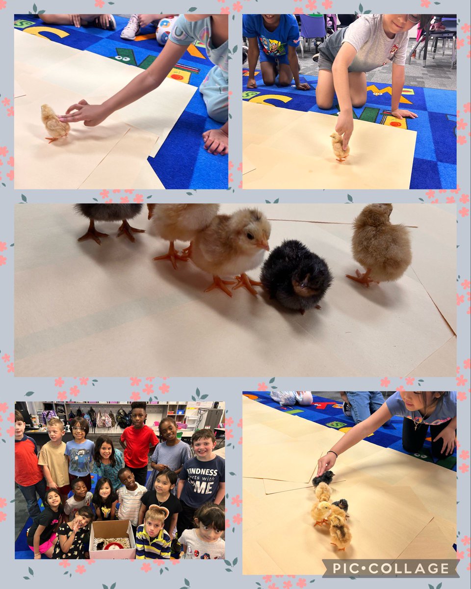 Paula Demechko tweet media