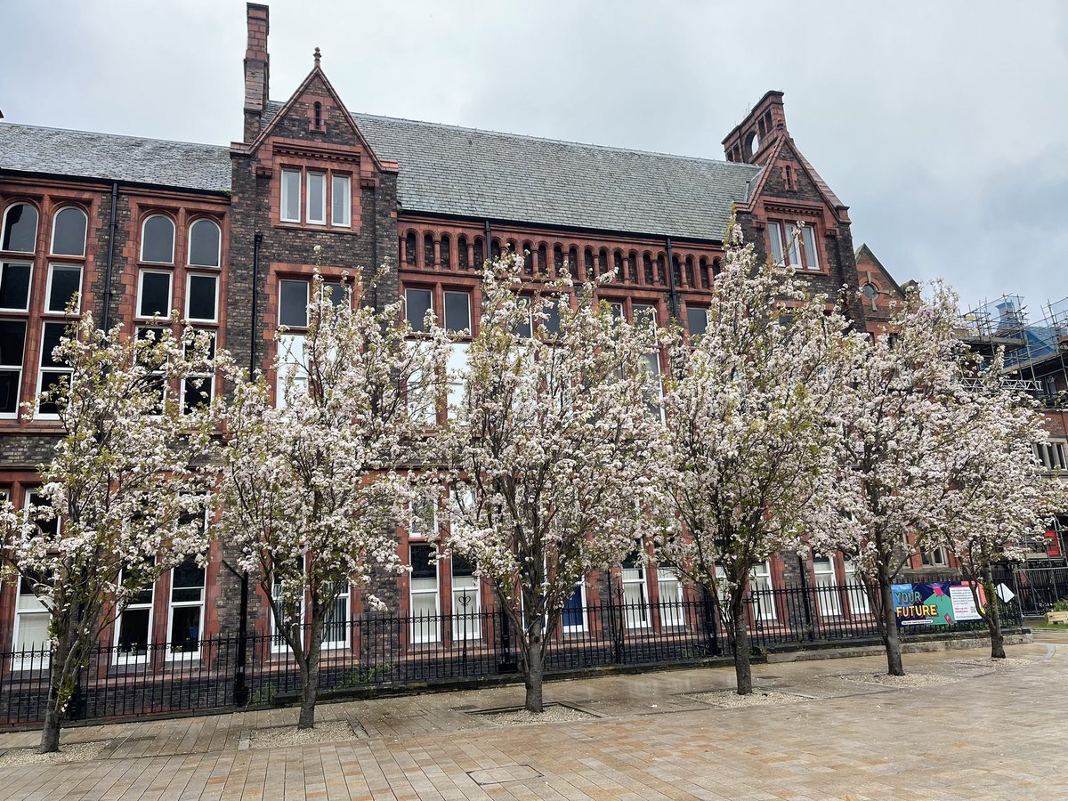 HamidRajabiii's tweet photo. @LivUni @livunieng https://t.co/EzX10KYkq6