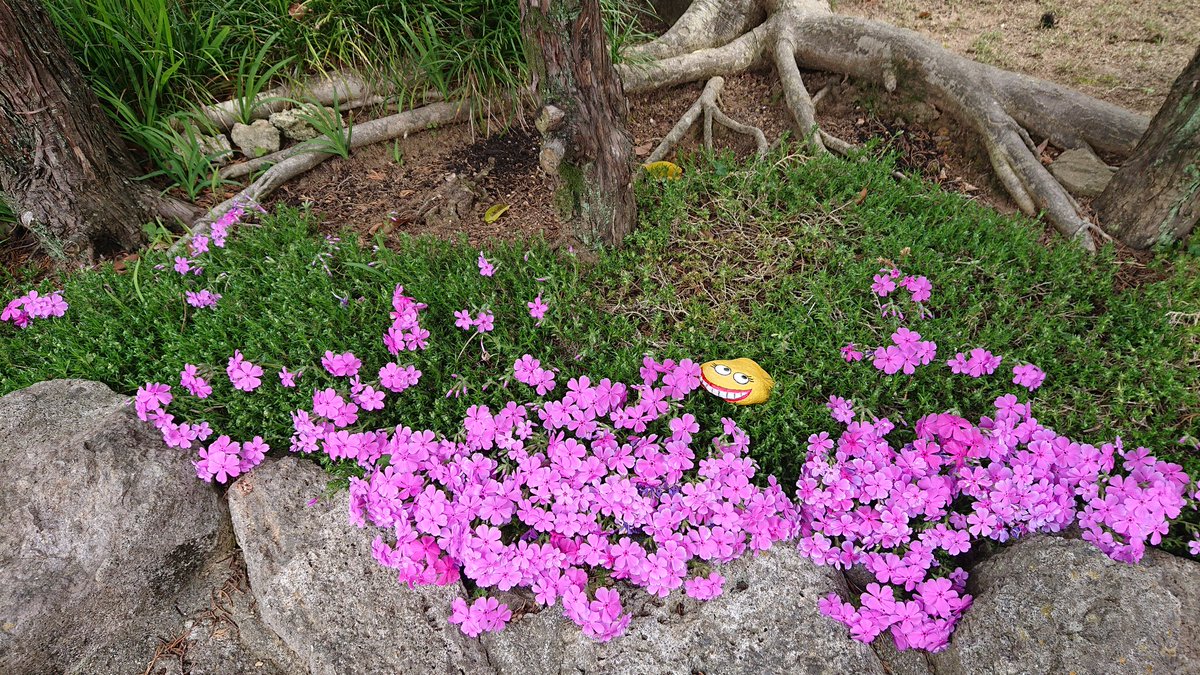 msadako123's tweet photo. かくれ���ぼ❗
 #福岡県  #大川市  #古い町並み  #古民家  #柳川藩  #久留米藩  #寺町  #町歩き https://t.co/MHxJfZVVhW