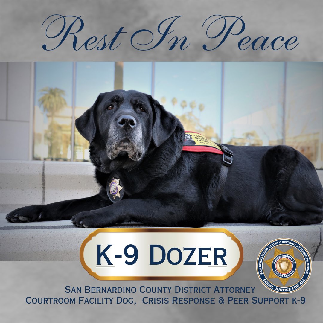 With a heavy heart we announce our recently retired Courtroom Facility Dog, K9 Dozer, has passed away. K9 Dozer has touched many lives, leaving behind an incredible legacy. He will be missed.  💔
m.facebook.com/story.php?stor…