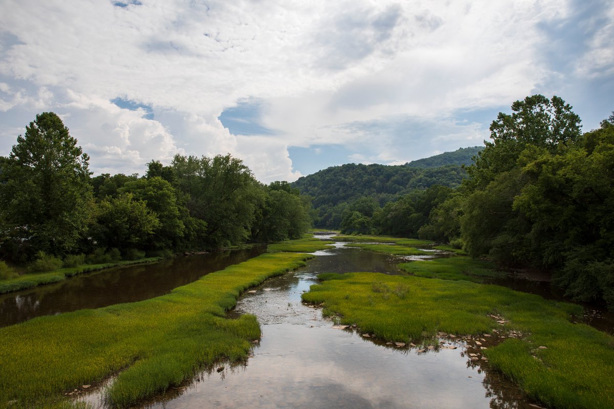 VisitPocahontas's tweet photo. Happy Earth Day 🌎 We're grateful for this little slice of heaven we call Nature's Mountain Playground! Today, and everyday, we ask you to follow the seven principles of Leave No Trace: https://t.co/b5A5HOwMCn
#VisitNMP #EarthDay https://t.co/KJfclTuRMZ