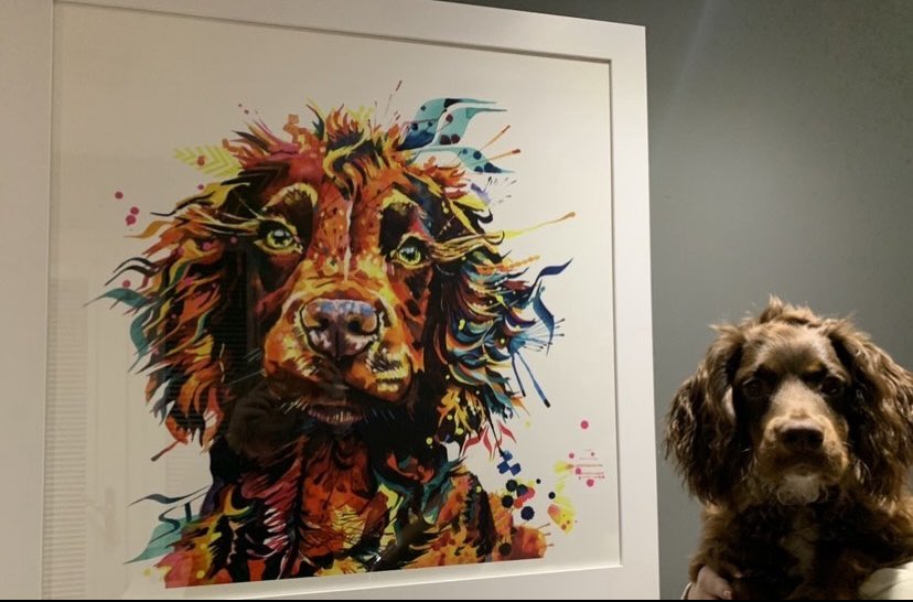 💗Julie - Be safe,sparkly,smiley & kind everyone🌈 tweet media