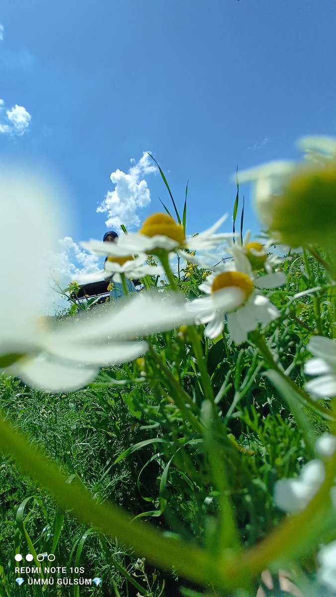 ummu_7221's tweet photo. Bugün de böyle bitti 🍭🍬 https://t.co/UJSimz9nIv