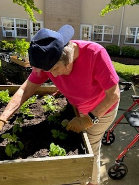 Master Gardener hard at work today in the Gardening Club!