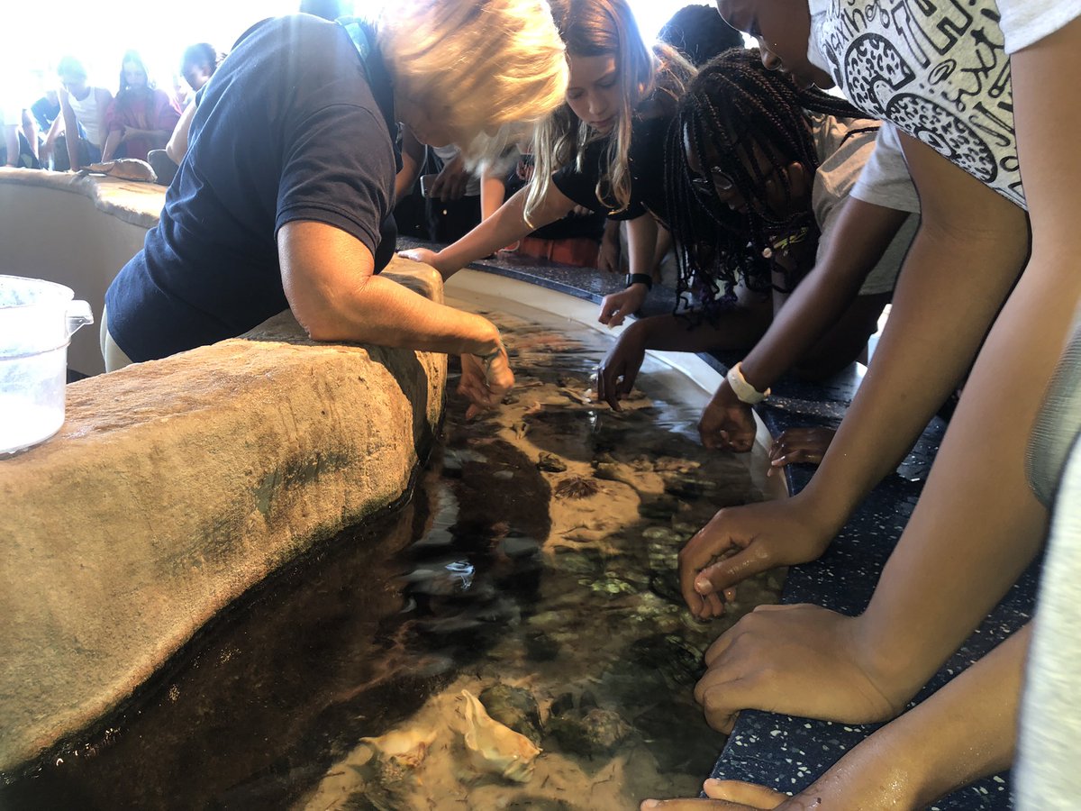 kmclay's tweet photo. 6th Grade Field Study: Let’s Go to Charleston. Students visited the SC Aquarium and took a Charleston Harbor tour. @spmeagles #protectthenest https://t.co/O4Zb0dXX9m