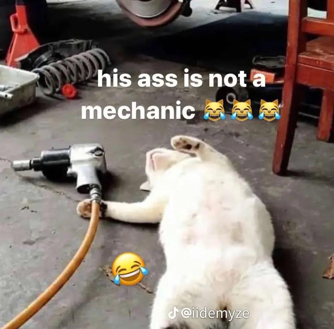 Zinchenko calling huddles