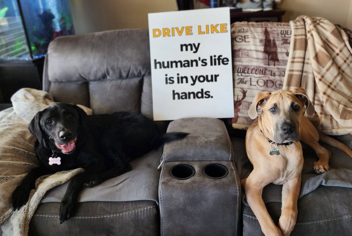 One last reminder from our team's loved ones to drive safe on every road and to be extra cautious in work zones. Slow down, pay attention, and watch out for crew members and fellow commuters. #conezone #workzone #workzonesafety