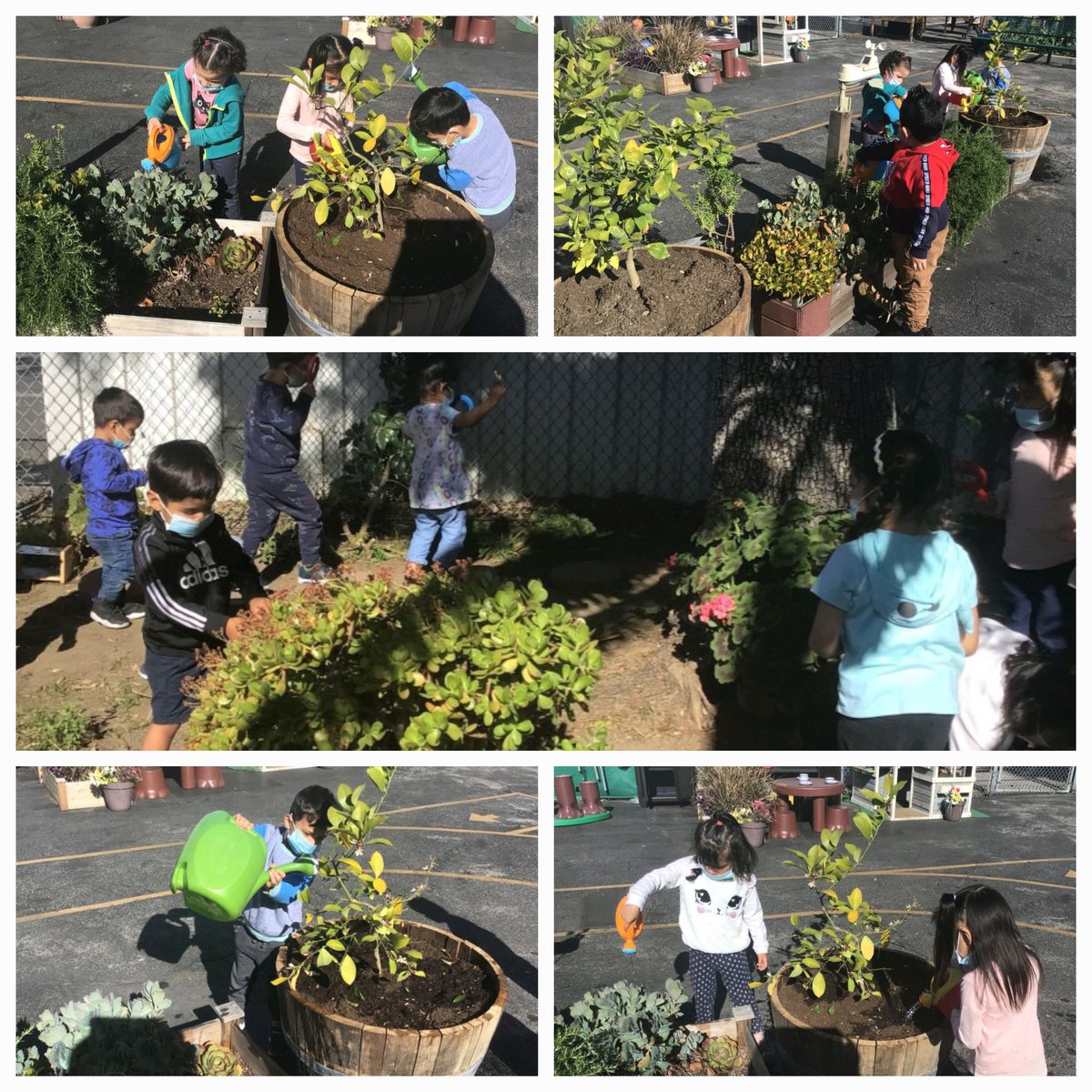 Our preschool students take care of our plants and gardens for Earth Day by watering, removing dried leaves and showing lots of love to our plants.<a href="/ECED4LA/">ECE4LA</a> <a href="/MsDamonte/">Pamela Damonte VN-VG Community of schools</a> <a href="/LASchoolsNorth/">LAUSD Region North</a> <a href="/SteamLdne/">LDNE STEAM</a> <a href="/DeanTagawa/">Dean Tagawa, Ed.D.</a> <a href="/MsMcMurrin/">Rebecca McMurrin</a> <a href="/ScottAtLAUSD/">Scott M. Schmerelson</a>